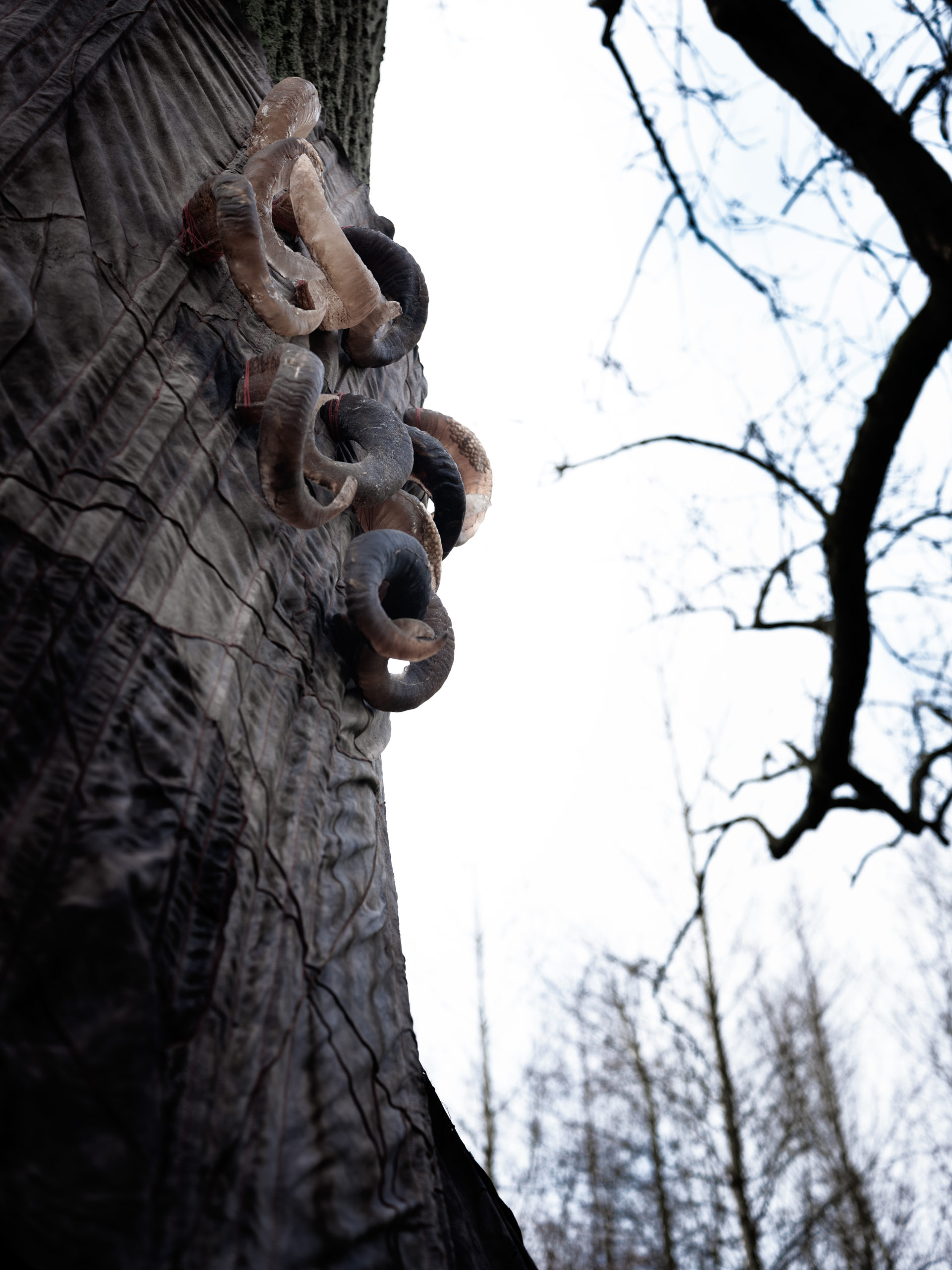 Corset _ foto Karine